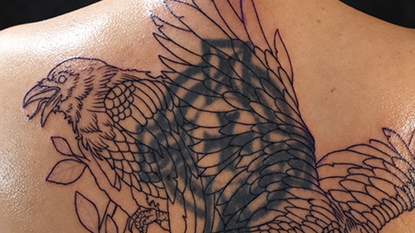 gut-zu-wissen-cover-up